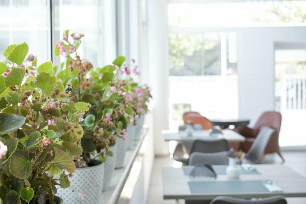 بلدة كوس Anastasia Hotel & Apartments المظهر الخارجي الصورة